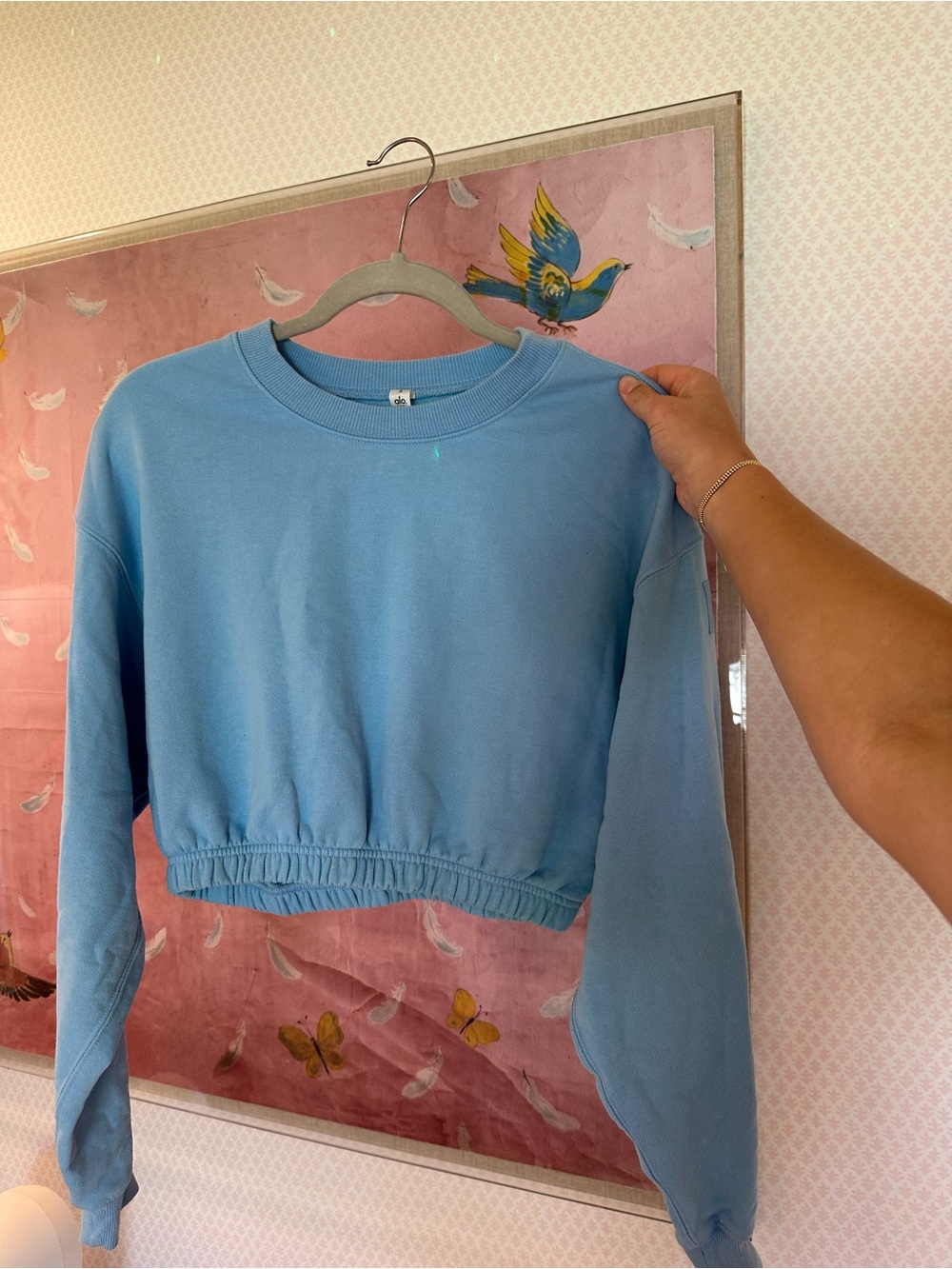 Light Blue Alo Sweatshirt
